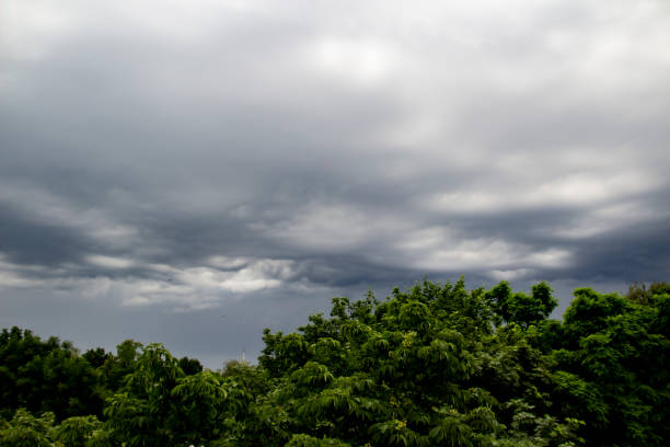 istock Beautiful stormy sky with clouds and treetops. Dark heavy thunderclouds before the rain and tops of chestnuts with green leaves. 1250721241