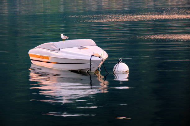 istock The seagull and the boat 1250721490