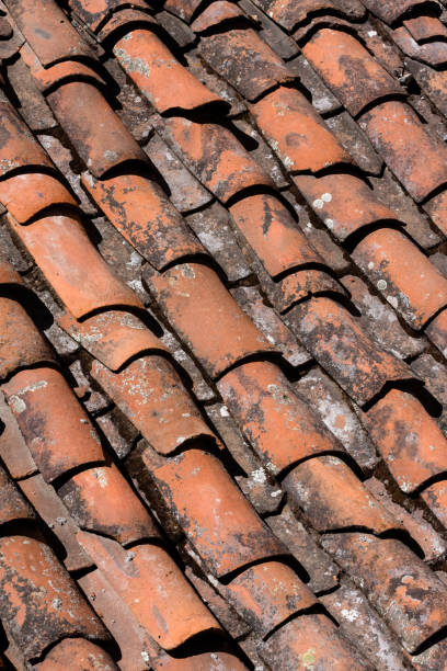 istock Pattern that forms the roof of a house used Peru. 1250722947