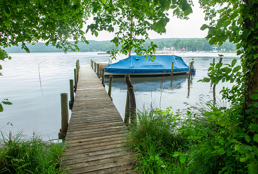 moored to a wooden pier closed by tarpaulin sailboat on lake Schwielowsee in Potsdam near Berlin . Fantastic nature at end of May - fresh Greenery   (plants)
