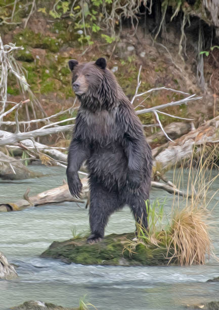 istock Brown bear standing for a better look - Photo Art 1250724917