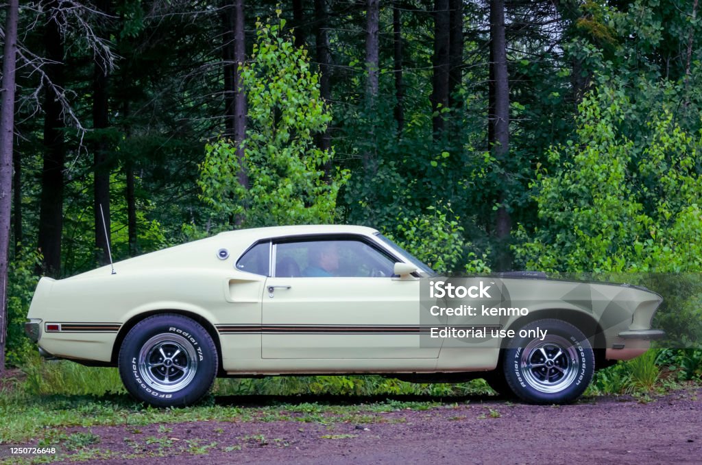포드 머스탱 마하 1 과거에 대한 스톡 사진 및 기타 이미지 - 과거, 1960-1969 년, 1969년 - iStock 포드 머스탱 마하 1 과거에 대한 스톡 사진 및 기타 이미지 - 과거, 1960-1969 년, 1969년 - Istock