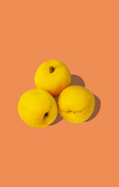 istock Apricots with shadow flat lay on pastel peach background. Creative layout of fresh orange summer fruits pop art concept. 1250727071
