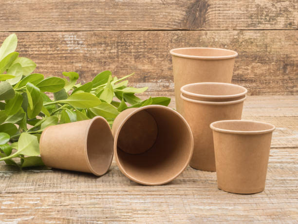 istock Disposable tableware on wooden background and green plant. 1250728268