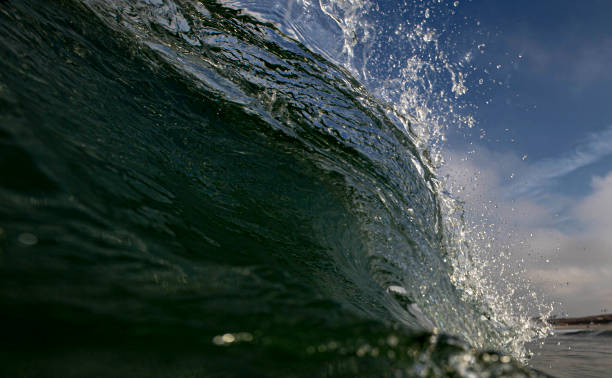 istock Los Angeles Beach and Surfing 1250728285