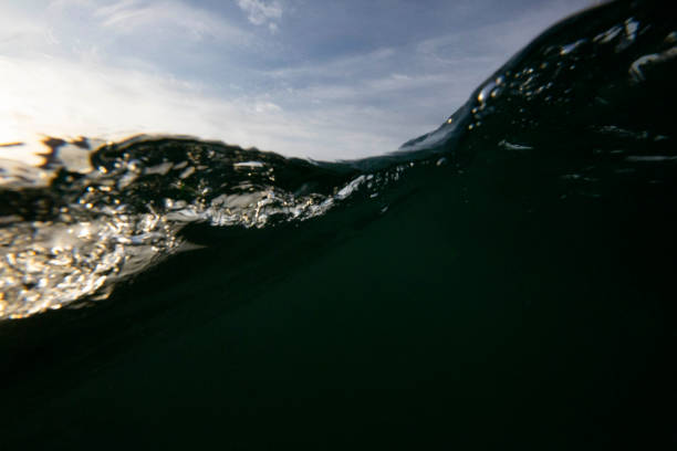 istock Los Angeles Beach and Surfing 1250728318