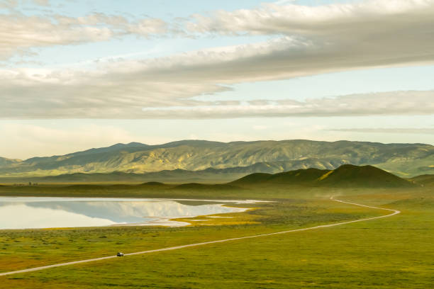 Road Through Wonderland Soda Lake Road leads visitors through Carrizo Plain. Carrizo Plain National Monument, California, USA carrizo plain stock pictures, royalty-free photos & images