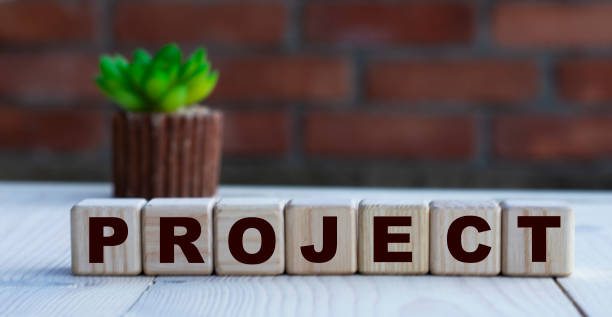 istock PROJECT - word on cubes against the background of a brick wall with a cactus. 1250729848