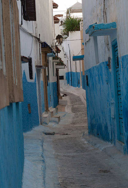 istock Blue alleyway in Rabat Old Medina, Morocco 1250737319