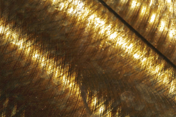 istock Distressed Steel Natural Organic Material Background Texture 1250747269