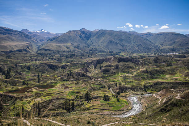istock beautiful valley with trees and a river 1250752896