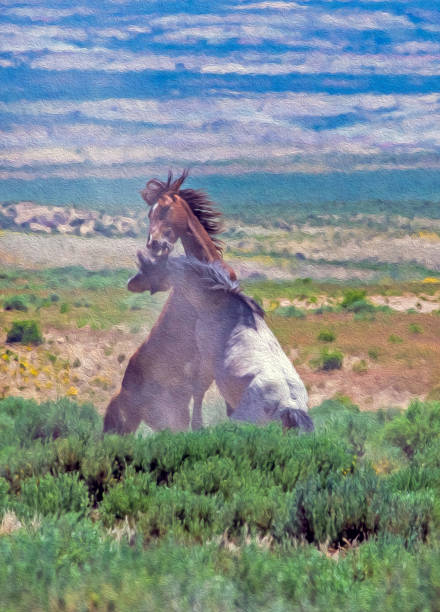 istock Wild Mustang stallions fighting - Photo Art 1250758501