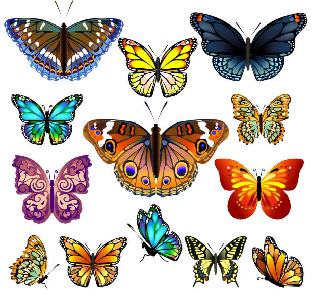 istock Set of colorful realistic isolated butterflies. 1250778159