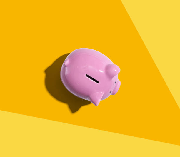 istock Pink piggy bank overhead view 1250795581