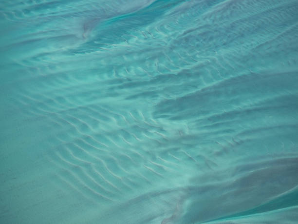 istock Shapes and patterns of Shark Bay 1250796690