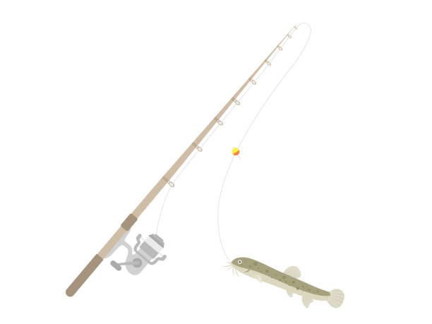 istock Illustration of fishing. 1250800748