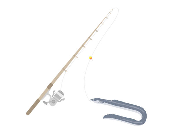 istock Illustration of fishing. 1250800843