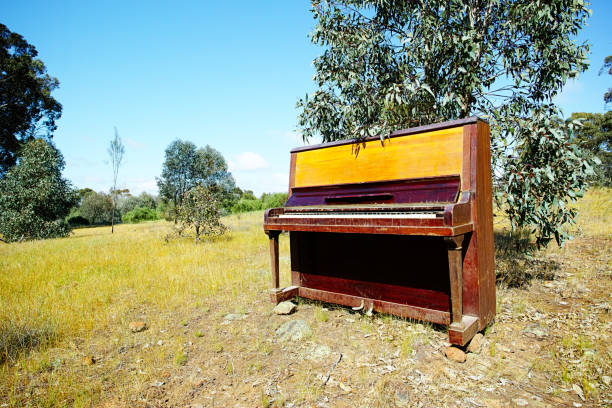 istock Old wooden piano in a field 1250827071