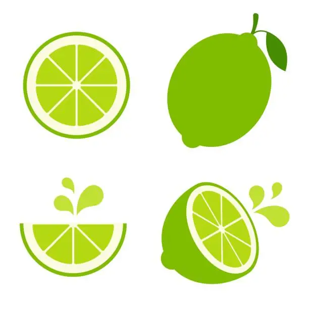 Vector illustration of Lime Vector Illustration Set on White