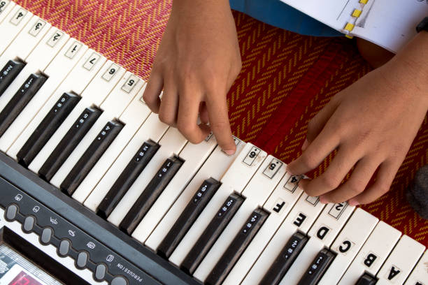 istock A Musician is playing Musical Instrument. 1250847170
