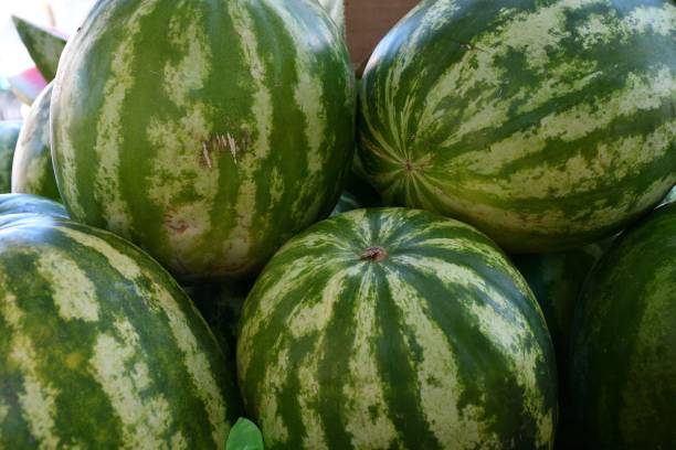 istock Ripe watermelons sold in the Bazaar 1250847370