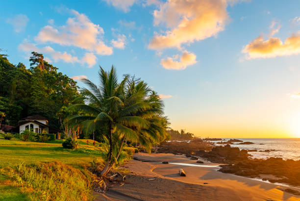 istock Corcovado national park, Costa Rica 1250877896