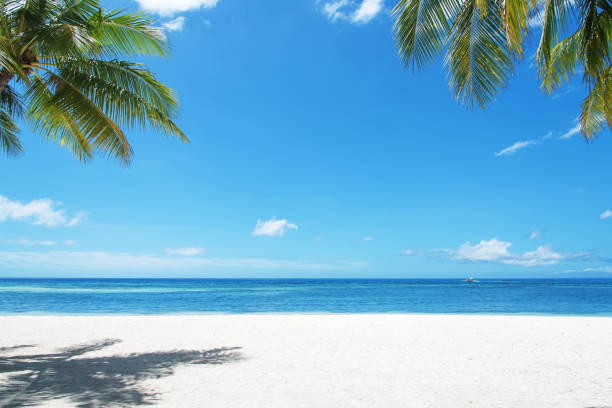 istock Exotic summer beach with tropical sea and clear sky copy space scene 1250892571