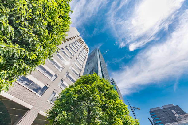 istock Skyscrapers in Tokyo with beautiful fresh green 1250900199
