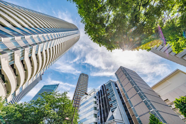 istock Skyscrapers in Tokyo with beautiful fresh green 1250900723
