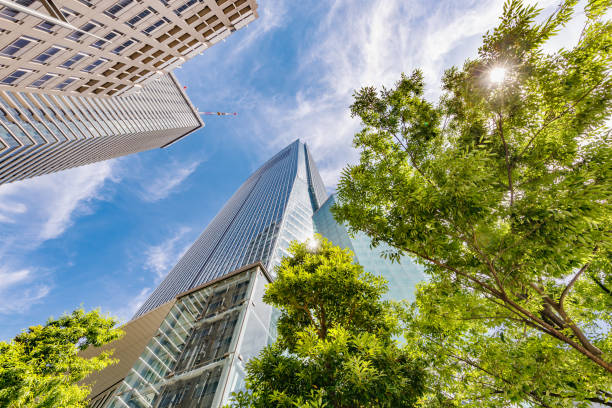 istock Skyscrapers in Tokyo with beautiful fresh green 1250901766