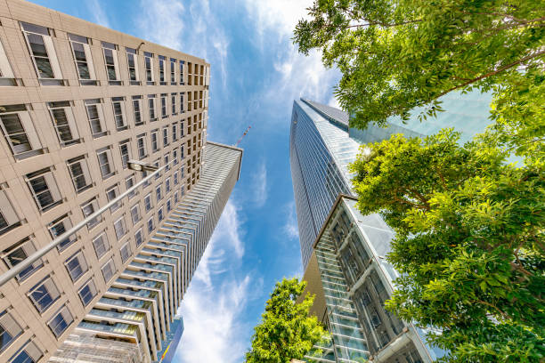 istock Skyscrapers in Tokyo with beautiful fresh green 1250902273