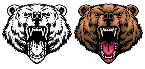 Vector illustration of angry grizzly head roaring