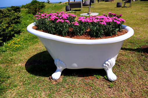 This is flower pot as decoration on the beach