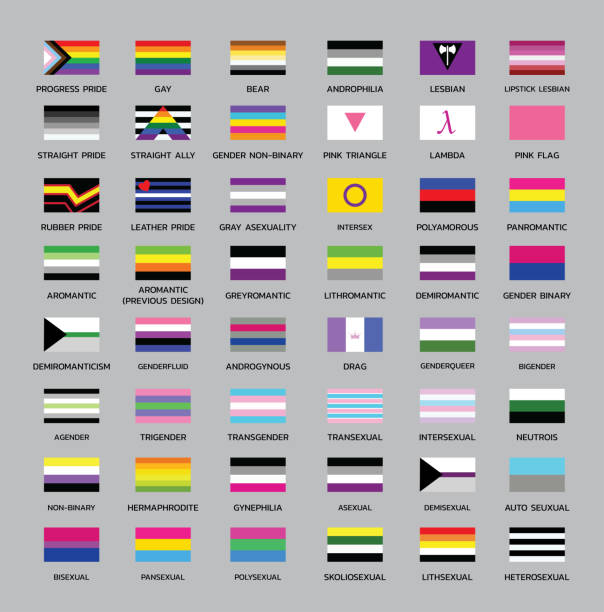 Various Pride Flags Differentation Set 1 Pride Flag EPS10 File Format pride flag icon stock illustrations