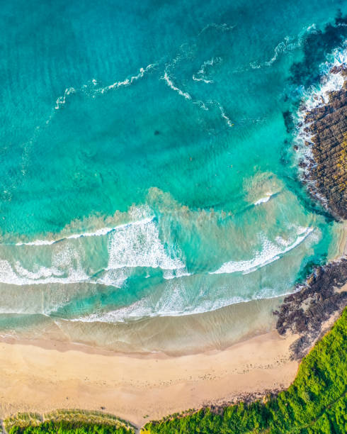 istock Aerial top down view of a beach 1250907329