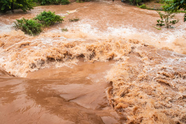 istock Flood water with brown mud close-up 1250907586