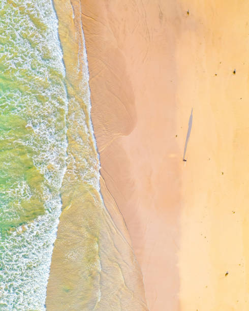 istock Aerial top down view of a beach 1250908245