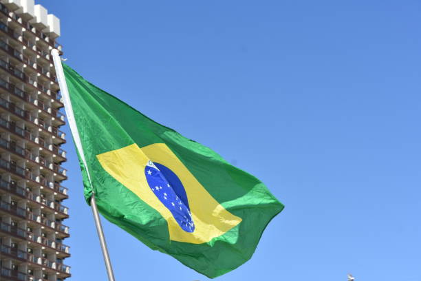 istock Brazil national flag 1250908420