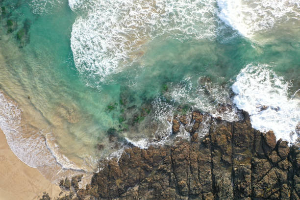 istock Aerial top down view of a beach 1250908503