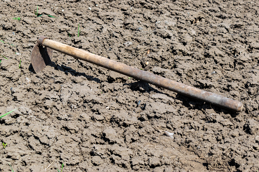 Gardening hoe on the cultivated soil