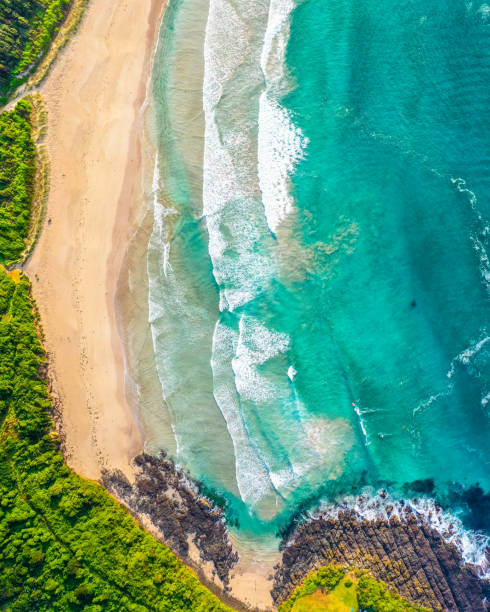 istock Aerial top down view of a beach 1250911064