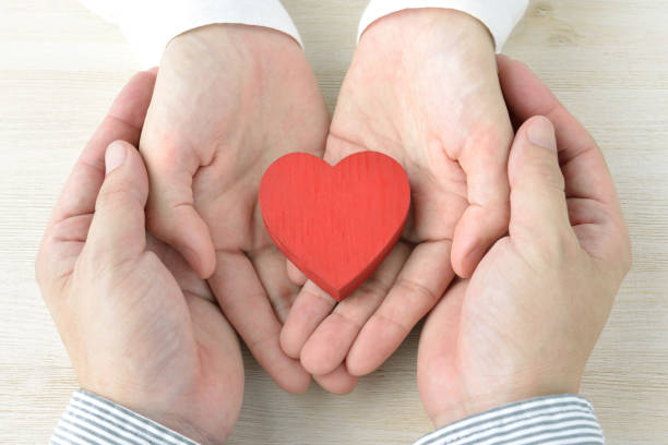 Heart object covered by couple's hand Heart object covered by couple's hand role reversal stock pictures, royalty-free photos & images