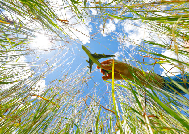istock Blooming Meadow with Airplane model in Summer 1250918918