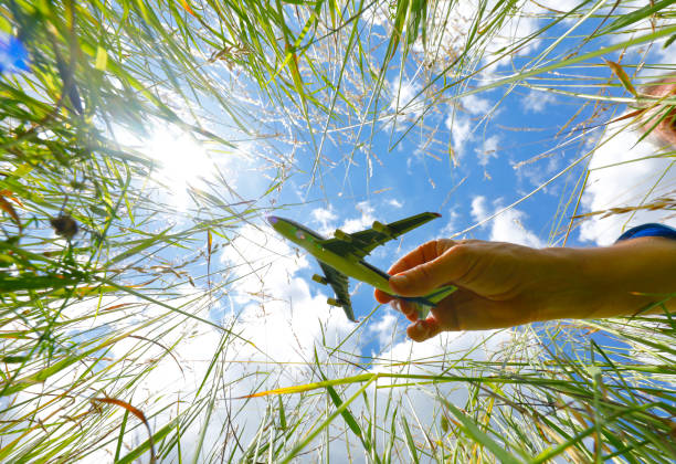 istock Blooming Meadow with Airplane model in Summer 1250919049
