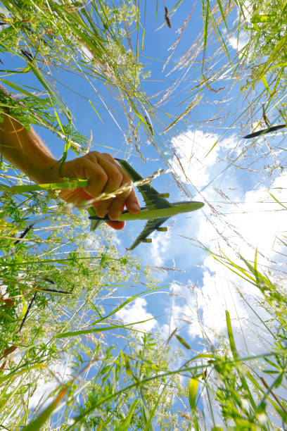 istock Blooming Meadow with Airplane model in Summer 1250919640