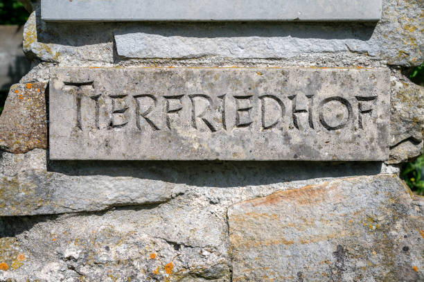 istock Stone sign with the word 