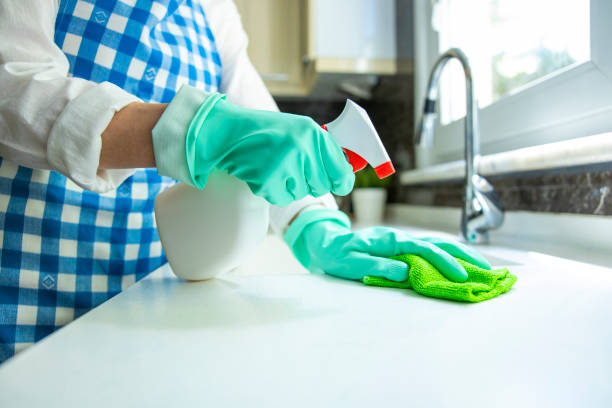 istock Woman cleaning kitchen top with rag and spray cleaner 1250922892