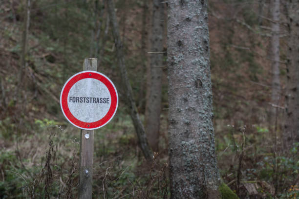istock sign forest road in the forest 1250923373