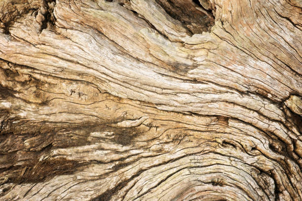 istock Old retro wooden surface texture abstract background 1250924278