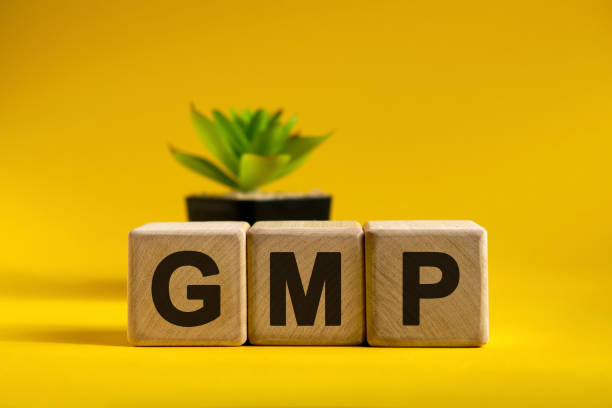 istock GMP - text on wooden cubes on a bright background and a black pot with a flower 1250927768